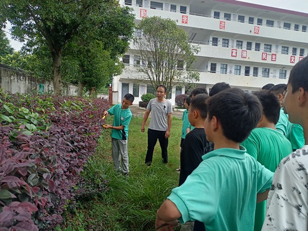 微信图片_20250610163430